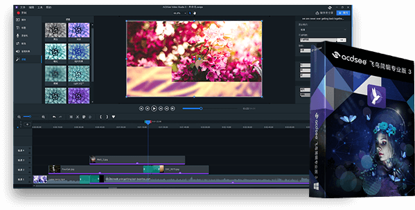 ACDSee飞鸟简辑专业版3